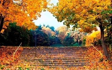 Park Staszica w Czarnkowie w kolorach jesieni