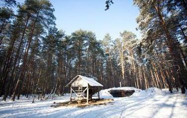 Paśnik dla zwierząt na leśnej polance, wok&oacute;ł śnieg 