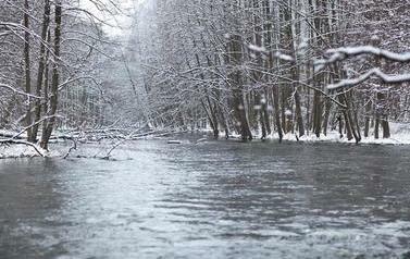 Zimowa pora, płynąca rzeka w środku lasu