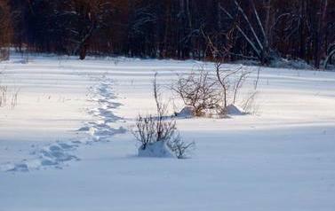 Ślady człowieka kroczącego na śniegu