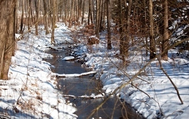 Rzeka w lesie w okresie zimowym