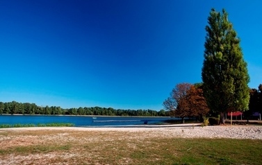 Fragment jeziora i błękitu nieba, na pierwszym planie widoczna piaszczysta plaża, z prawej strony wysokie drzewo, w oddali lasy