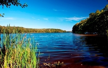 Fragment jeziora i błękitu nieba, z lewej strony tatarak, w oddali lasy