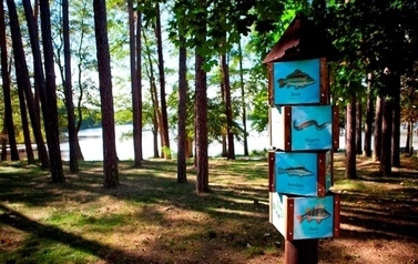 Na pierwszym planie widoczna tablica informacyjna ze zdjęciami ryb stojąca w lesie lub parku, widoczne pnie drzew a dalej całe drzewa, na drugim planie widoczny zbiornik wodny