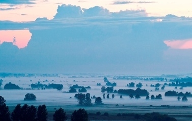 widok na pola i drzewa osnute mgłą, na niebie chmury