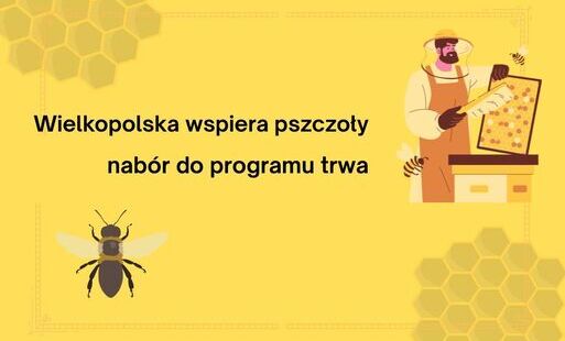 Zdjęcie artykułu z dnia 19-05-2026